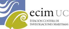 ECIM Logo